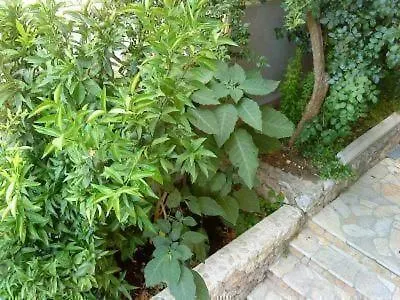 Levant Apartamento