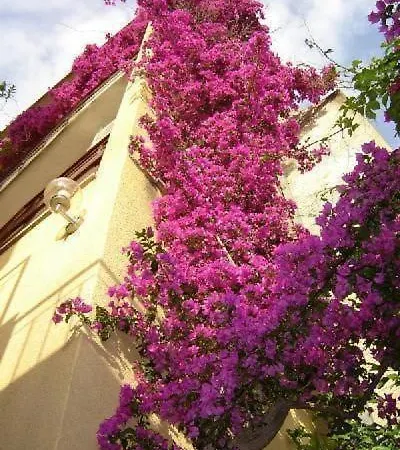 Levant Apartamento